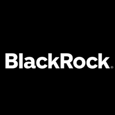 Option plays for Blackrock (BLK) earnings and beyond-image